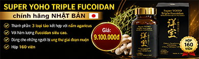 Fucoidan Nhật Bản tăng cường miễn dịch